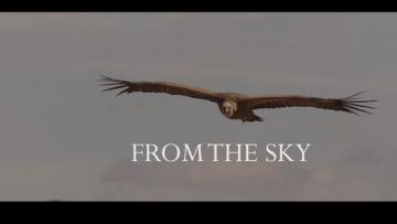 From the Sky Trailer
