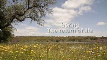 SPRING, THE RETURN OF LIFE